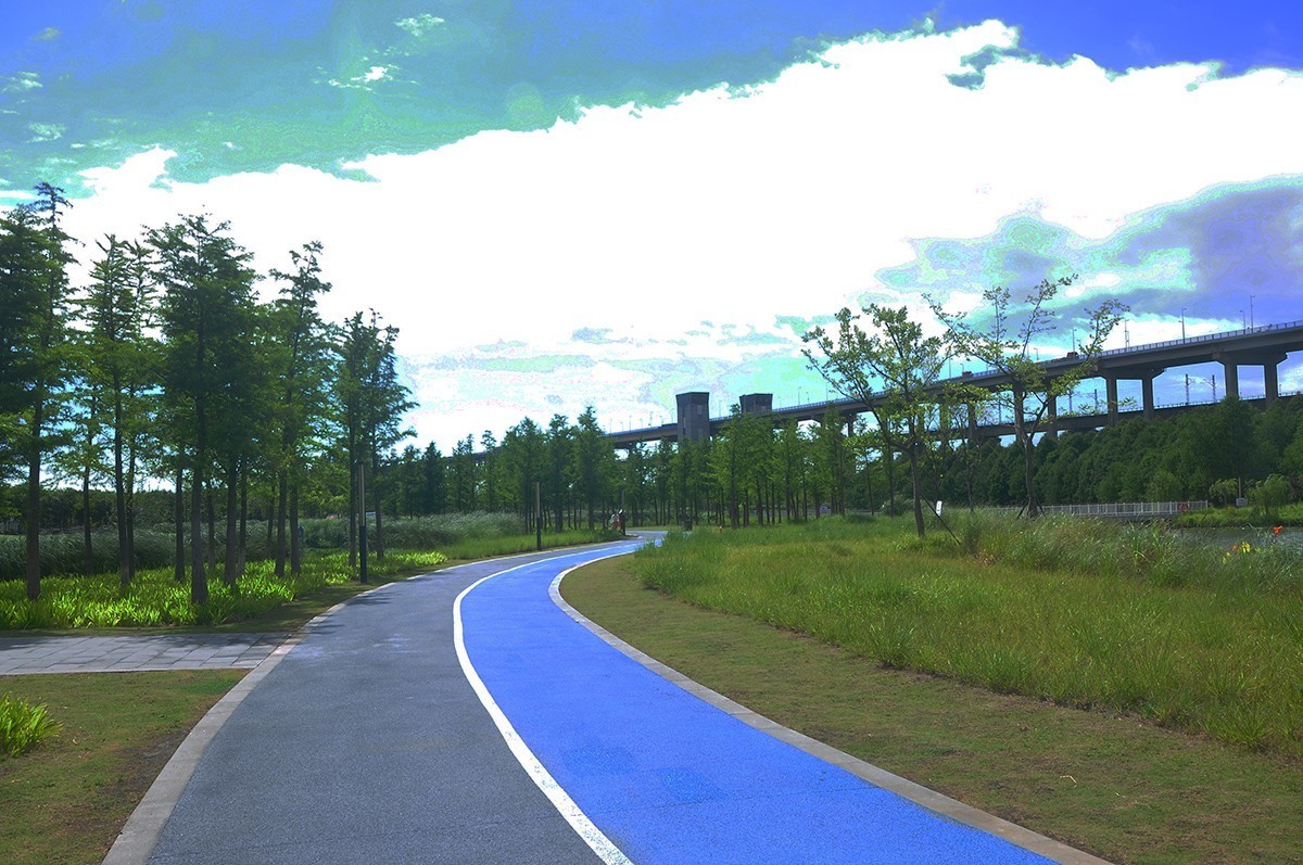 夏空流云（江东生态湿地公园）