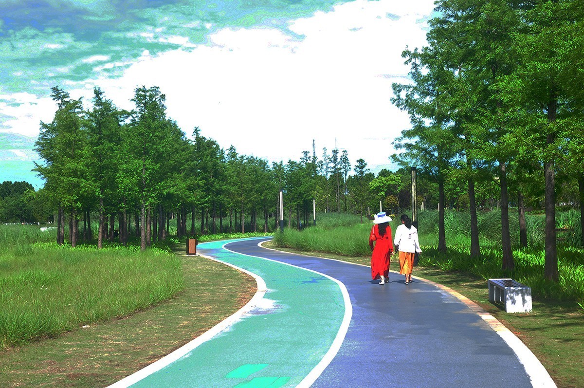 夏空流云（江东生态湿地公园）