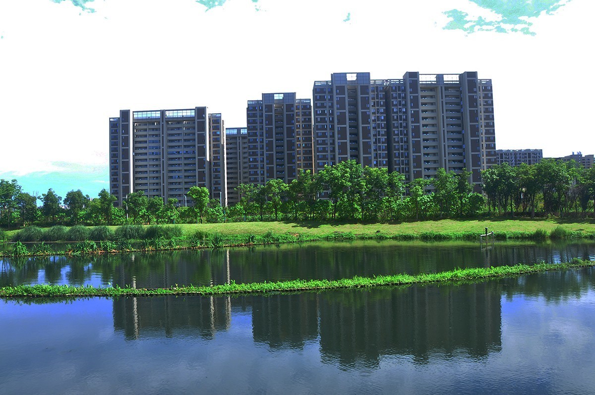 夏空流云（江东生态湿地公园）