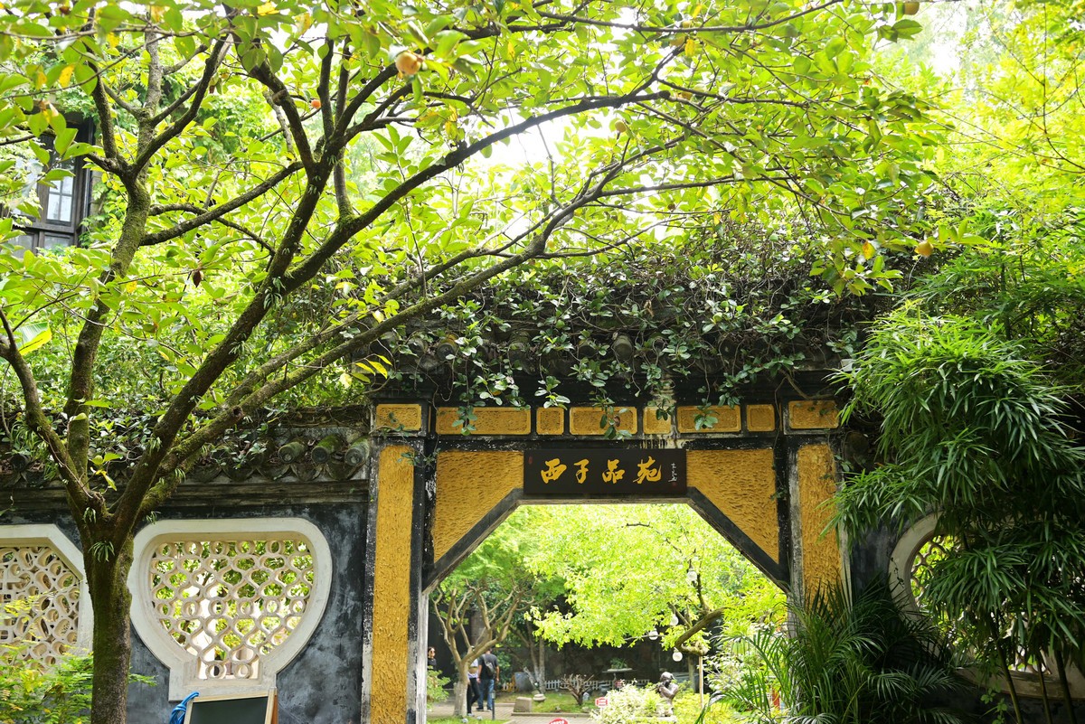 西湖边浴鹄湾漫步—尼康Z5+40f2饼干头直出