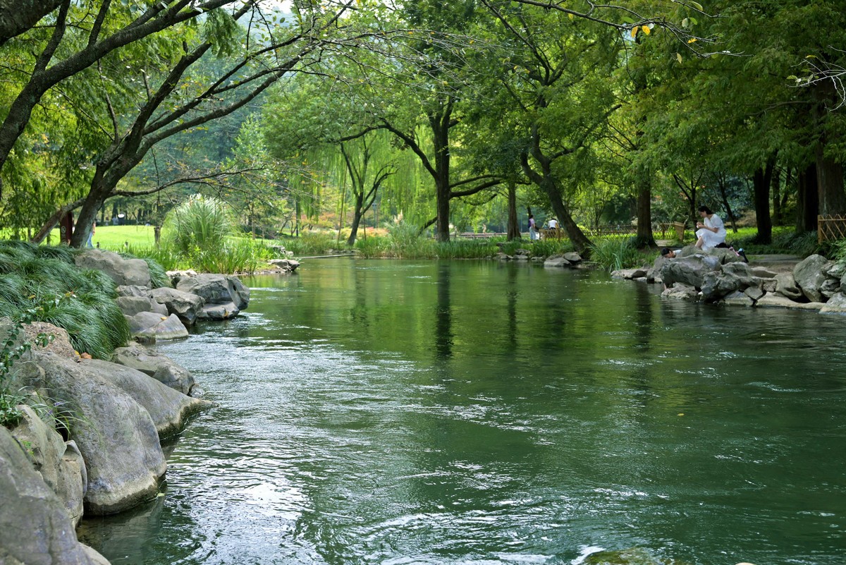 西湖边浴鹄湾漫步—尼康Z5+40f2饼干头直出