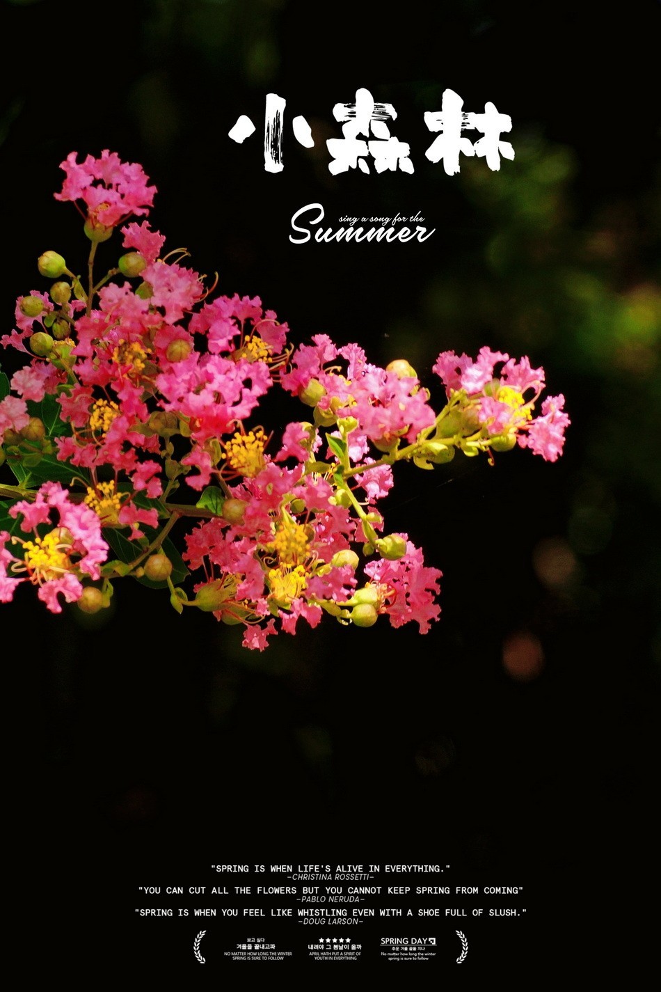 2023首拍〖 紫 薇 〗