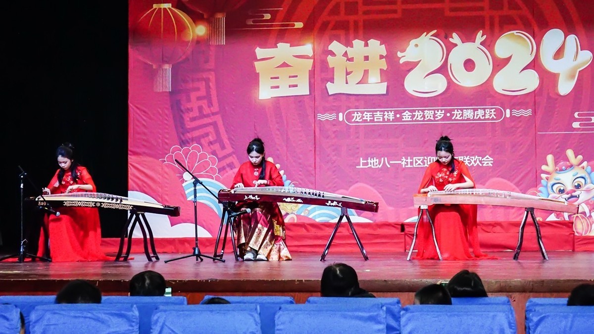 社区迎新年联欢会（一）