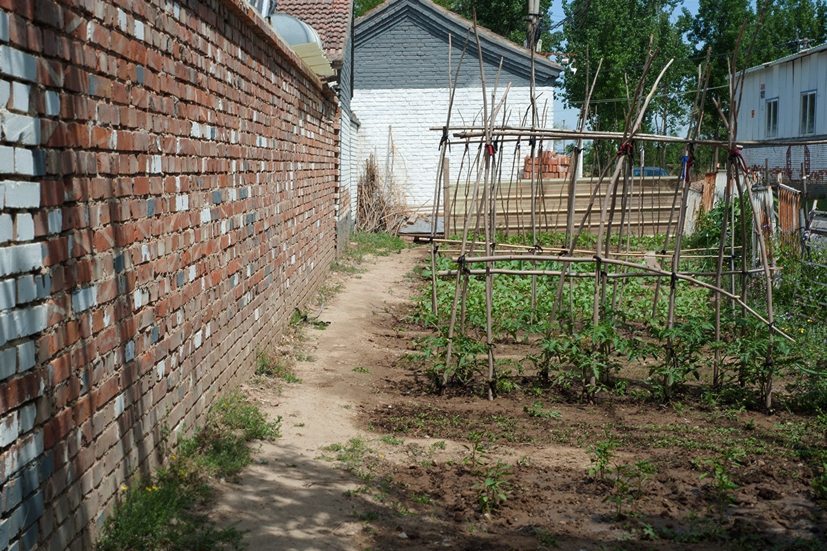 房前屋后的随拍