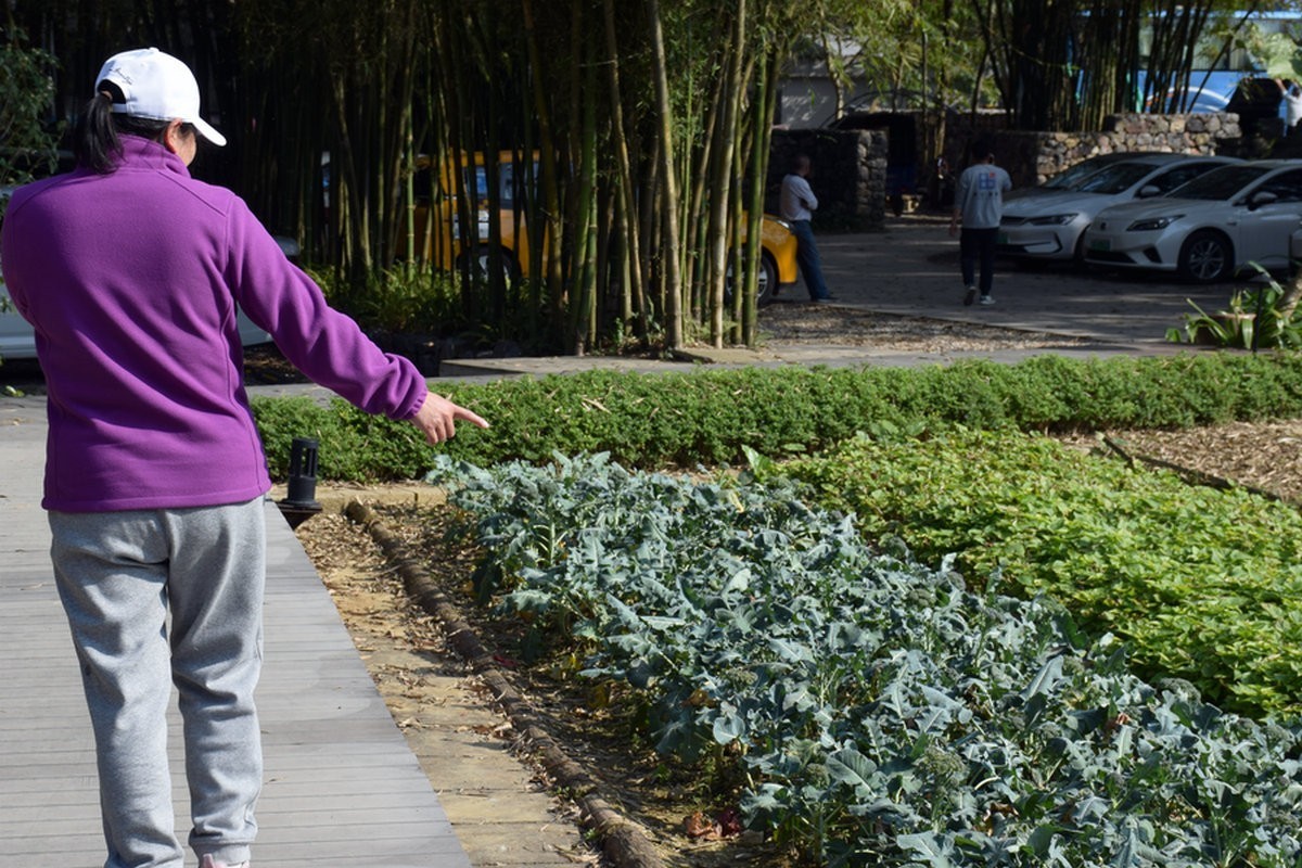 2024春节 滇桂沿边行（64）明仕村地板屯