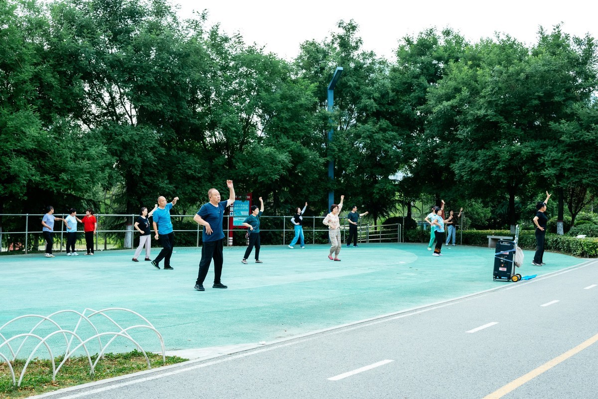 陕西渭南：森林绿化郁郁葱葱 宜居宜游新渭南欢迎您