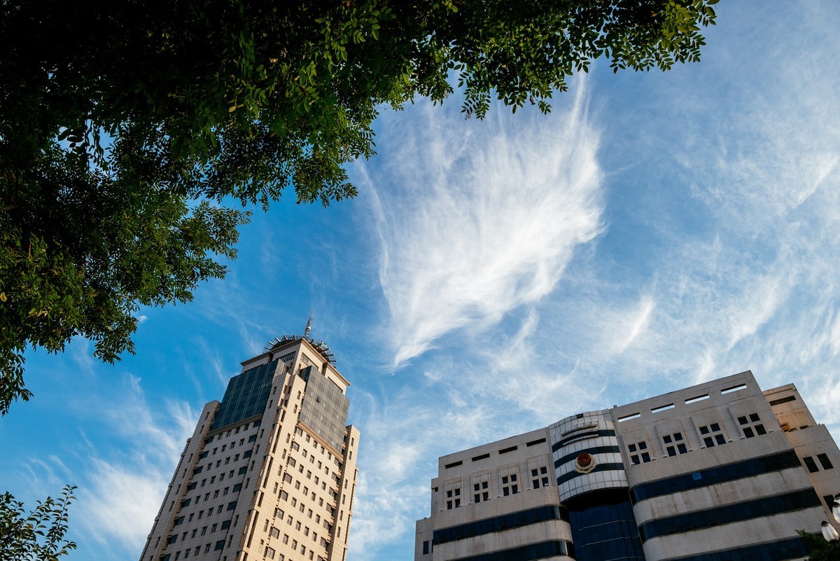 陕西渭南：森林绿化郁郁葱葱 宜居宜游新渭南欢迎您