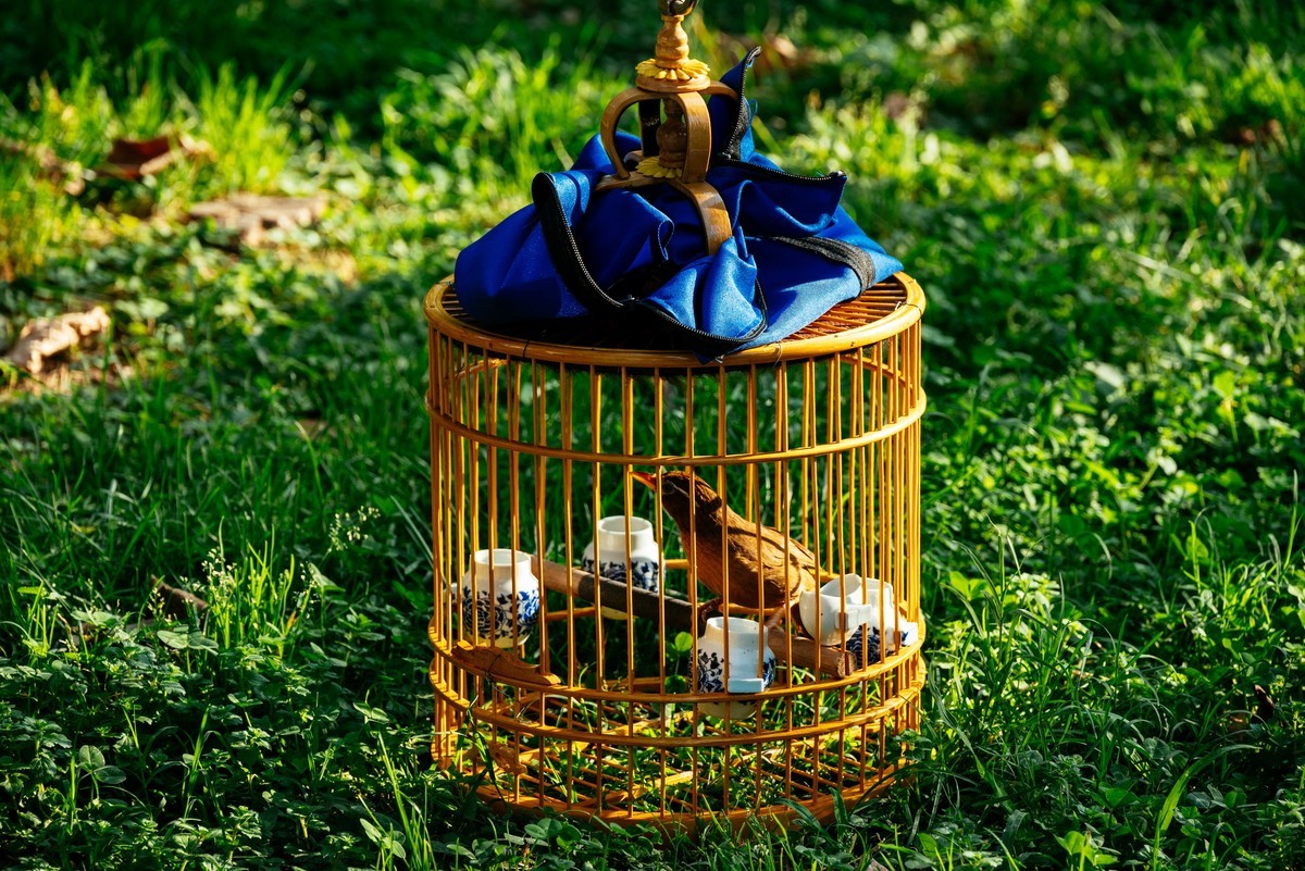 陕西渭南：森林绿化郁郁葱葱 宜居宜游新渭南欢迎您