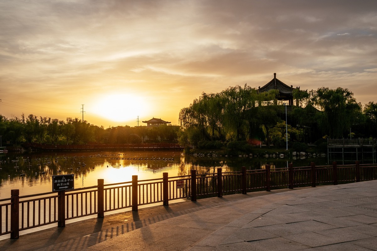 陕西渭南：森林绿化郁郁葱葱 宜居宜游新渭南欢迎您