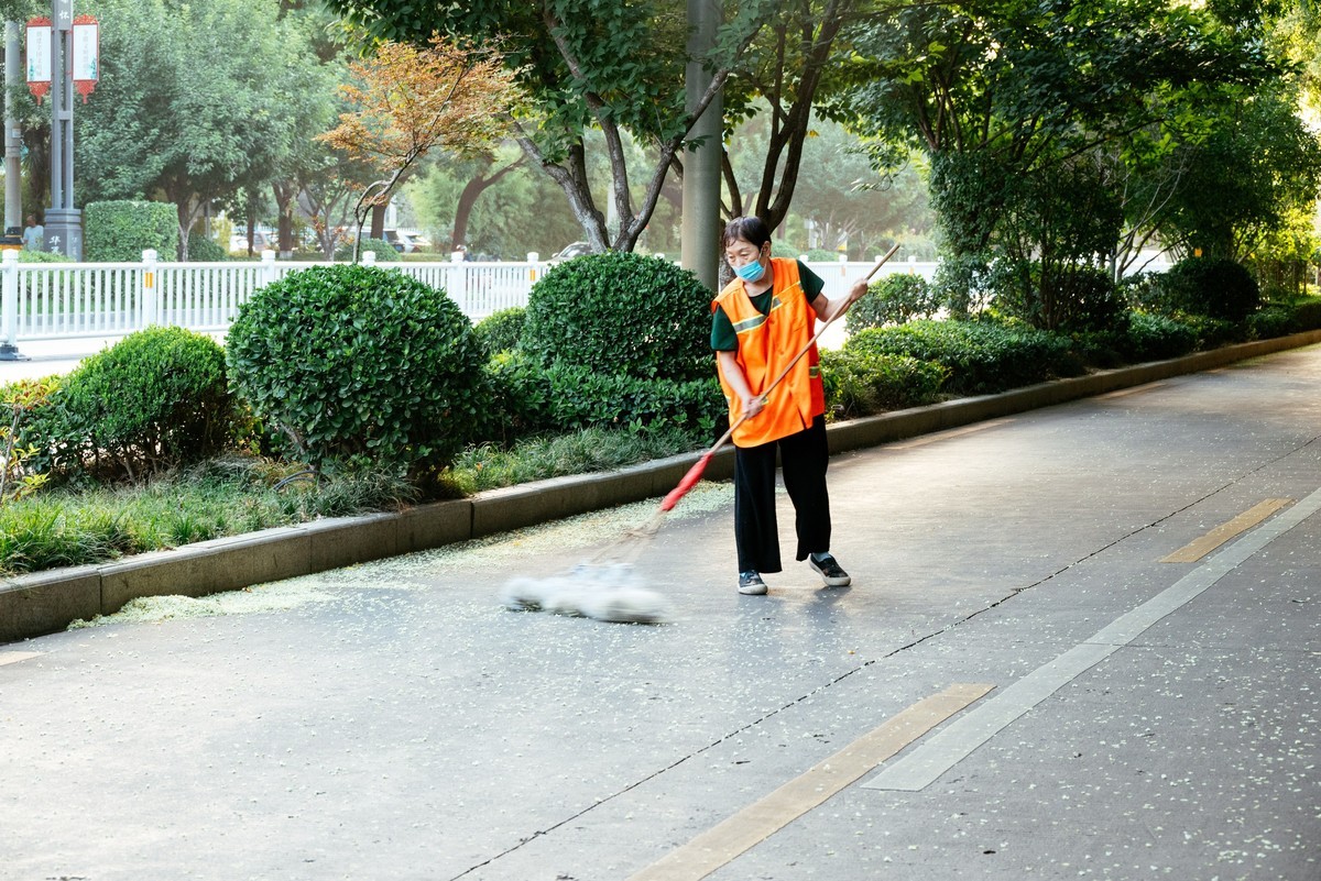 陕西渭南：森林绿化郁郁葱葱 宜居宜游新渭南欢迎您