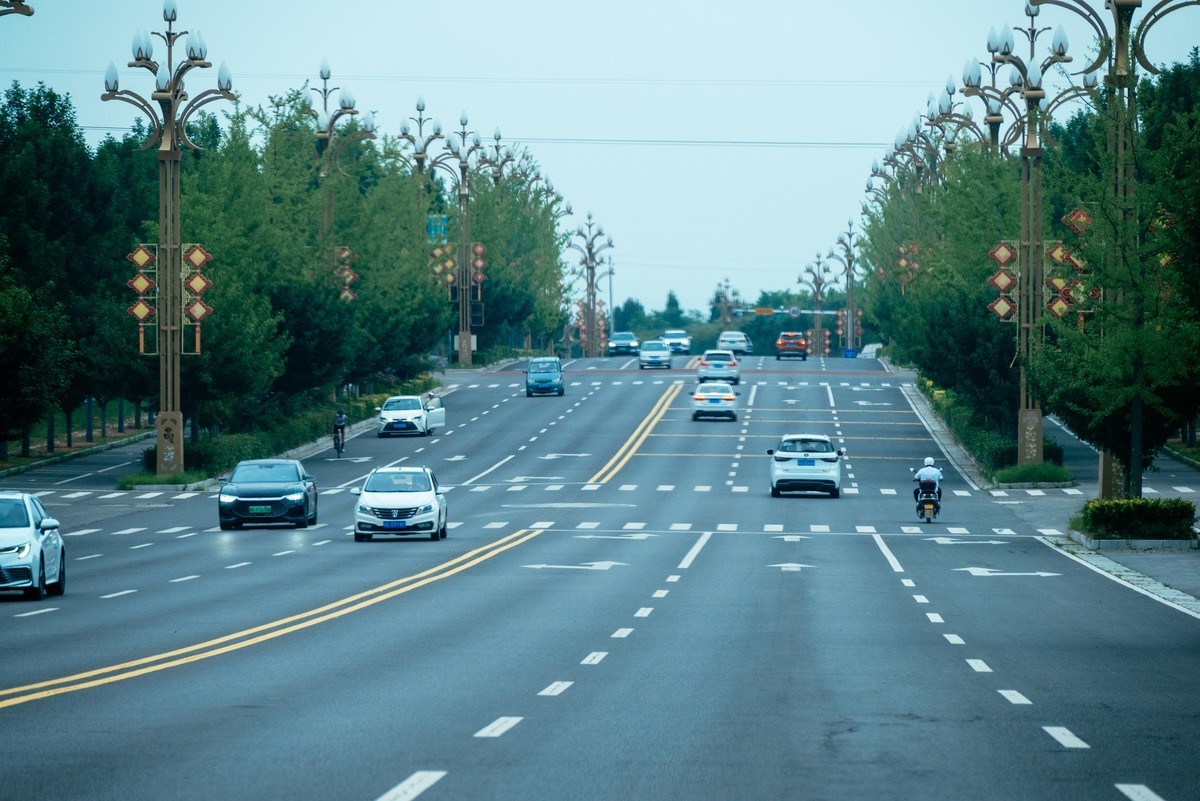 陕西渭南：森林绿化郁郁葱葱 宜居宜游新渭南欢迎您