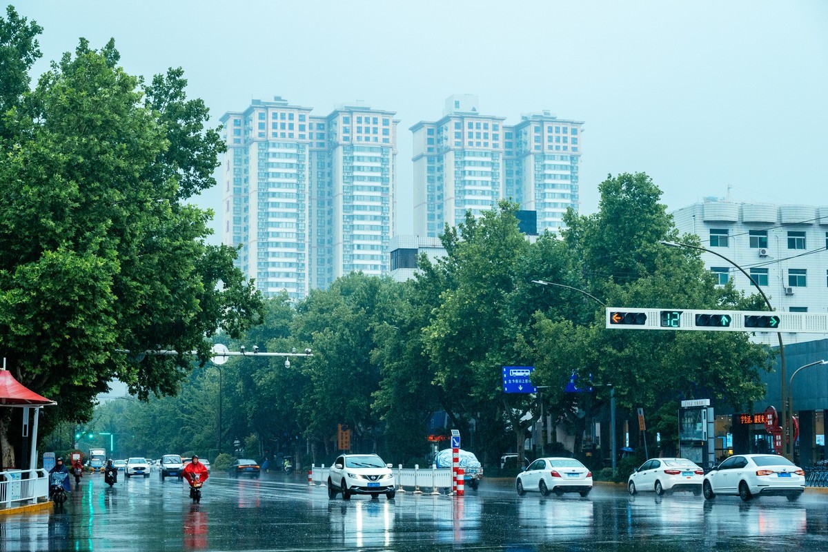 陕西渭南：森林绿化郁郁葱葱 宜居宜游新渭南欢迎您