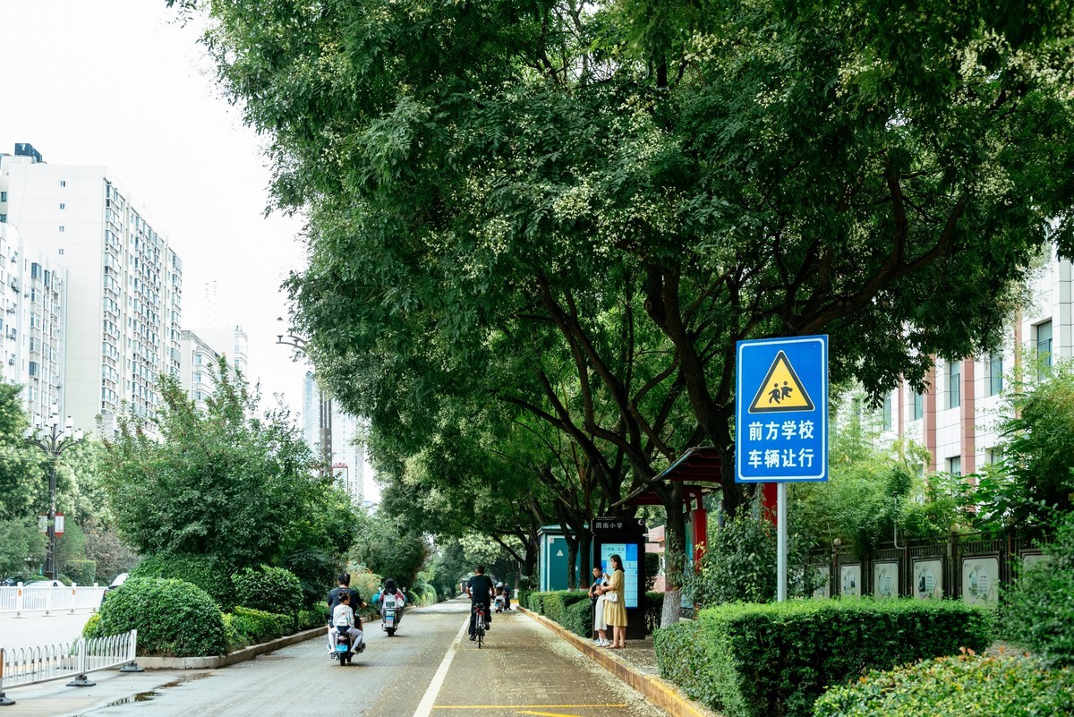 陕西渭南：森林绿化郁郁葱葱 宜居宜游新渭南欢迎您