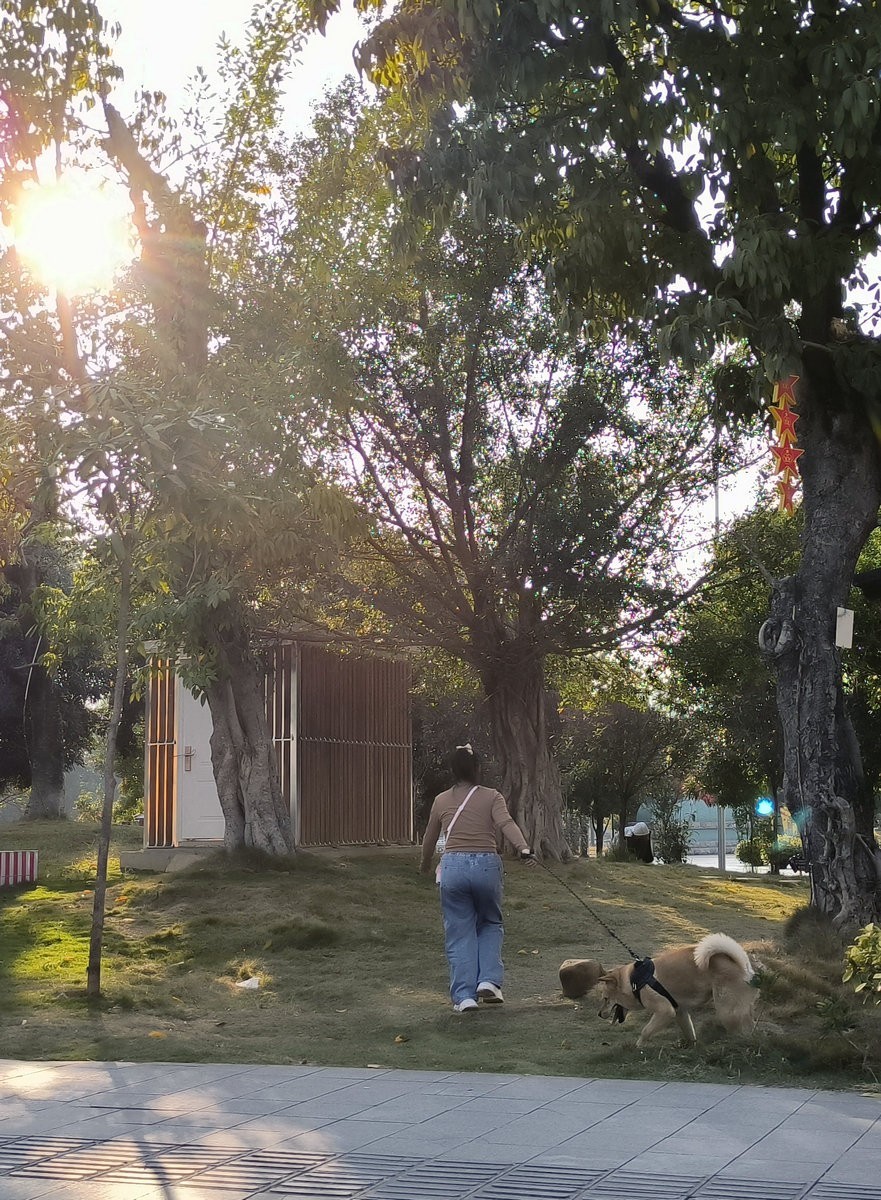 2024春节 滇桂沿边行（90）富宁有着烟火气