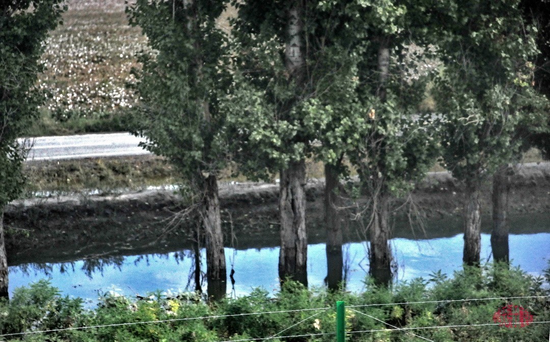 世界魔鬼城国家5A级旅游景区景区             周鸣天