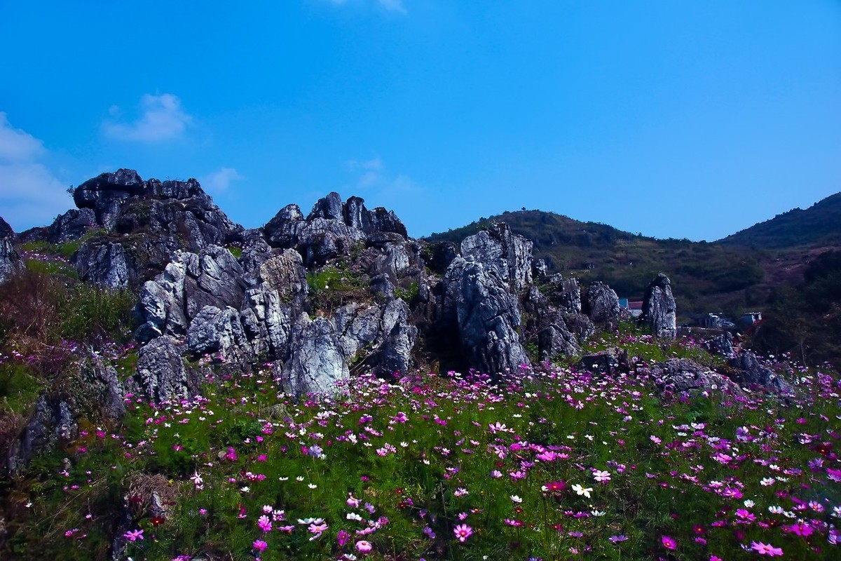 旧片_乡村印象3