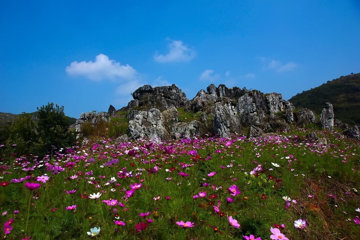 旧片_乡村印象3