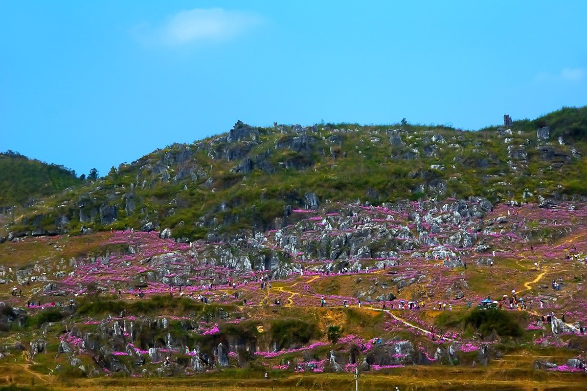 旧片_乡村印象3