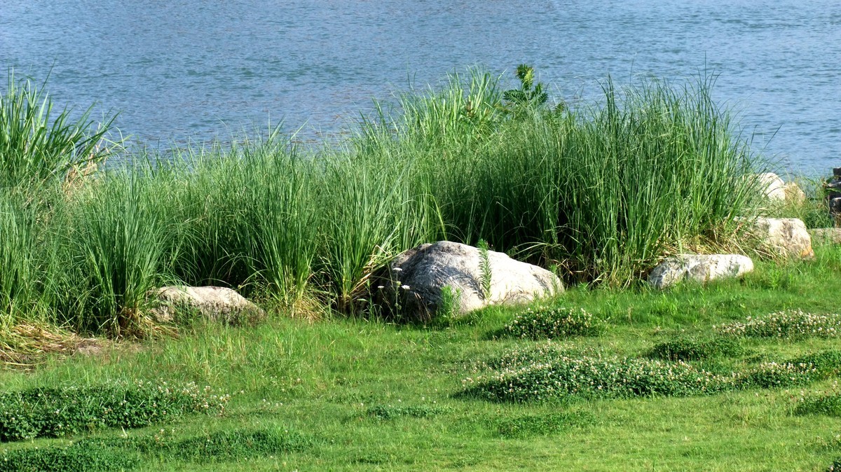 富士S205EXR试机照