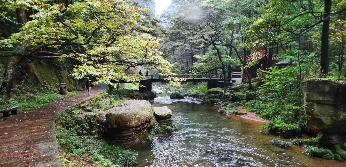 旅游299张家界金鞭溪