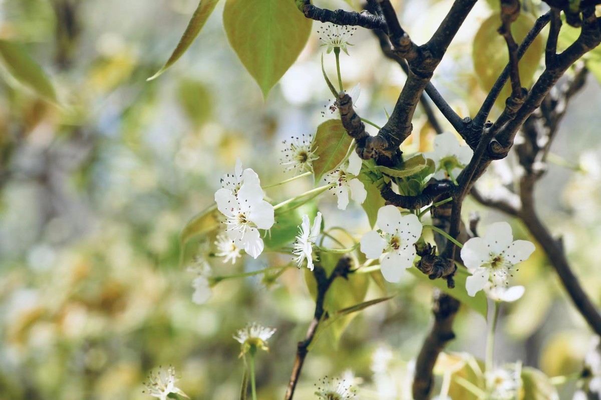 关于长焦和广角镜头的选择