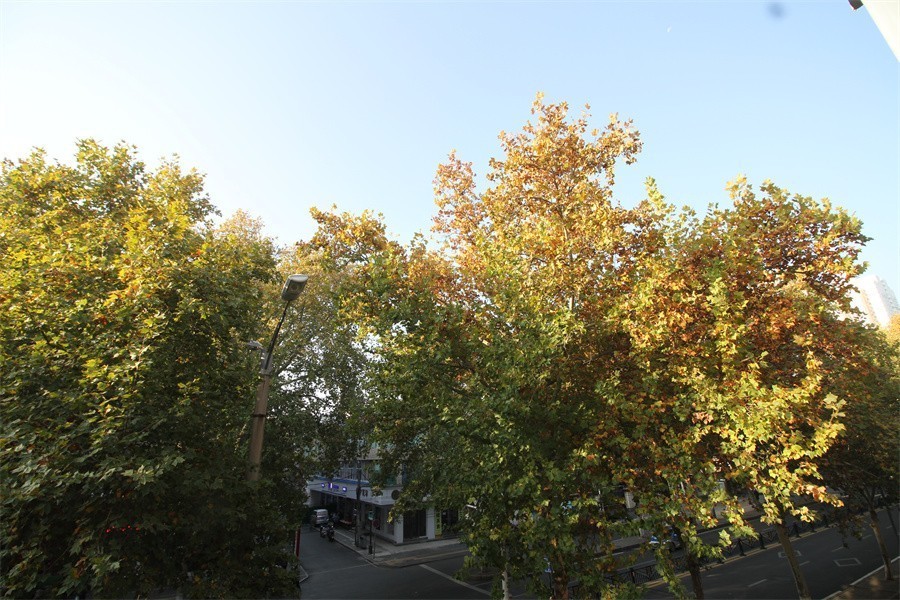 洛阳涧西区冬天暖洋洋的景像