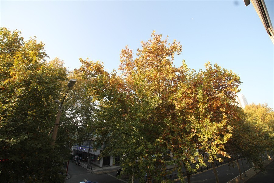 洛阳涧西区冬天暖洋洋的景像