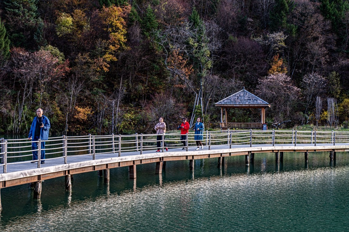川西--黑水--奶子沟彩林【5】