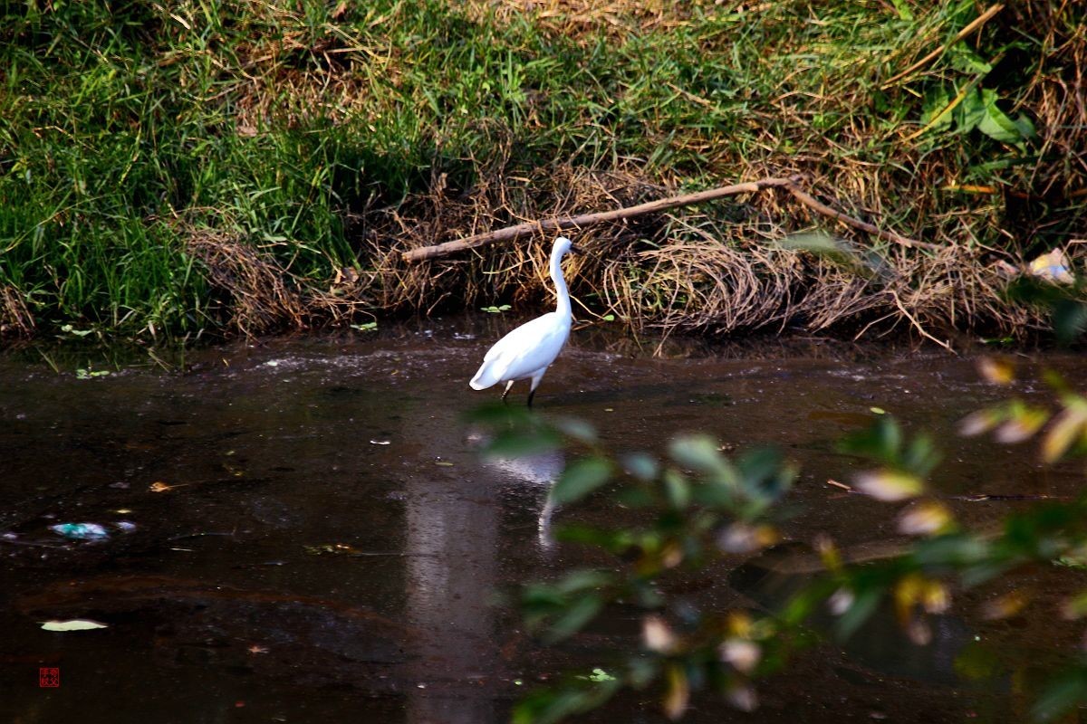 水污染，生存堪忧（一）