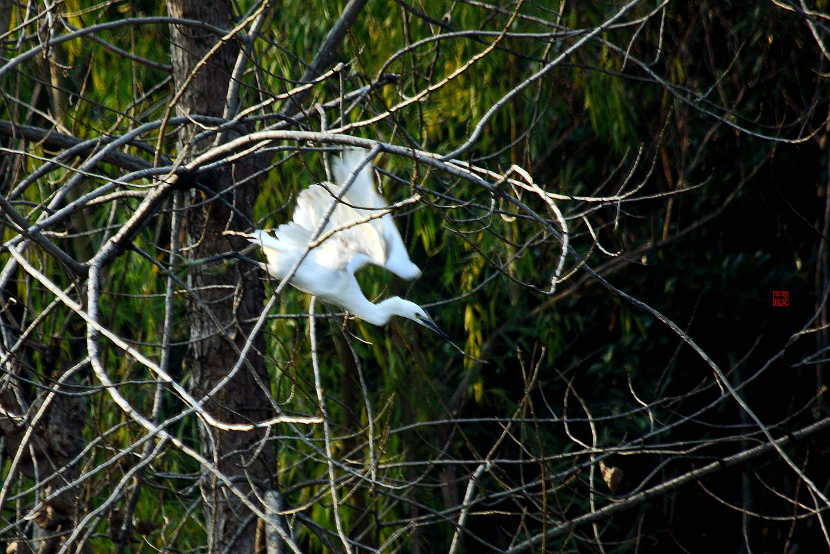 水污染，生存堪忧（一）