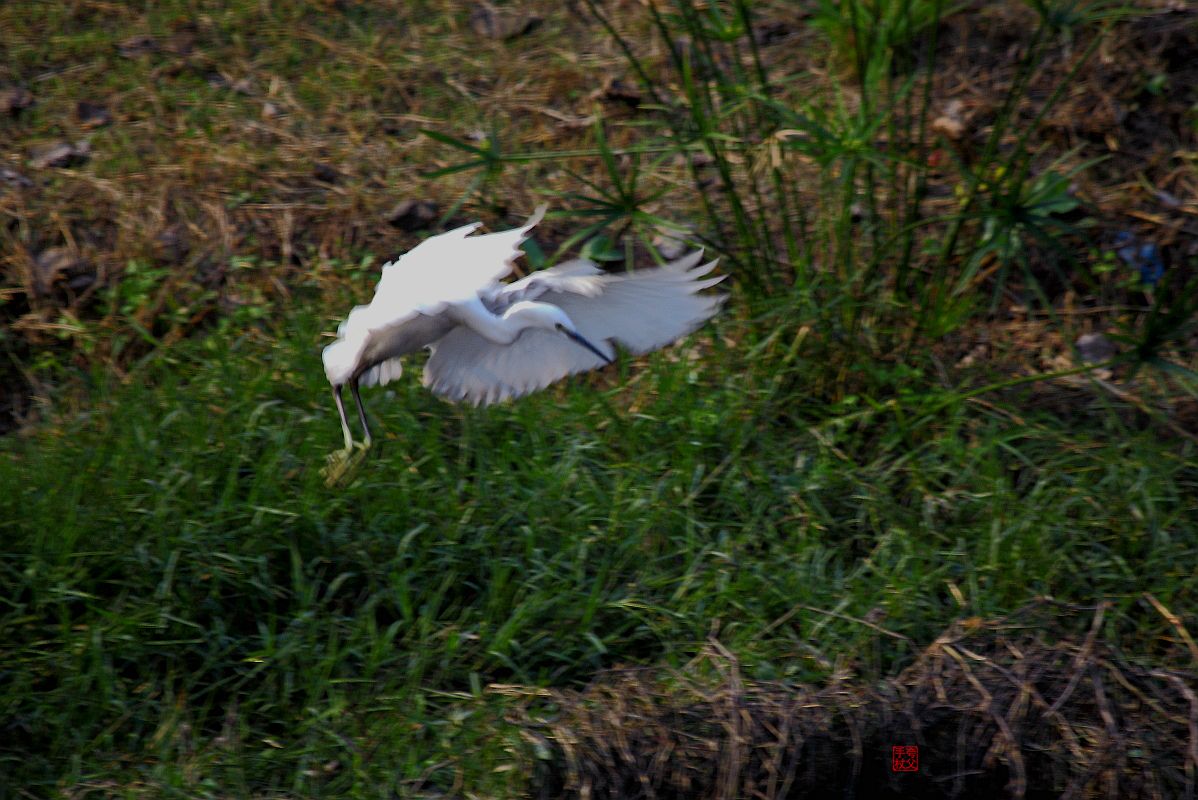 水污染，生存堪忧（一）