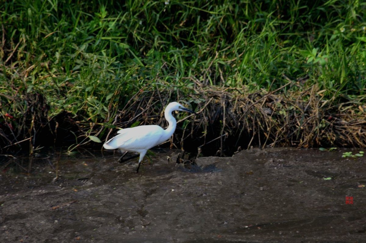 水污染，生存堪忧（一）