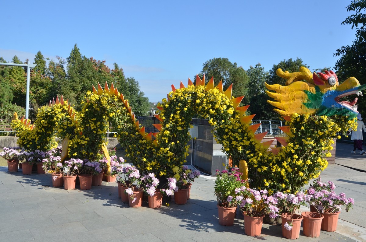 送上菊花新贴，拜访各位老师和好友！