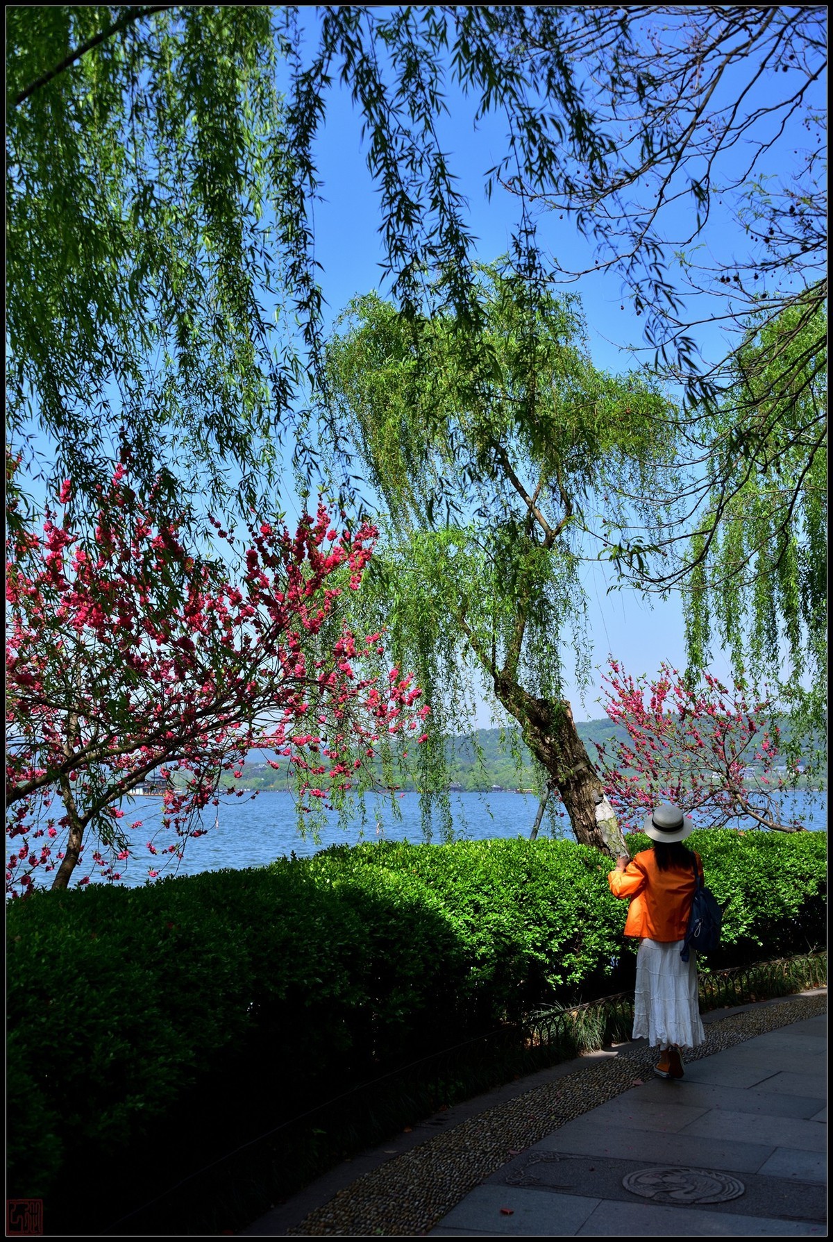 到此一游----杭州西湖随拍