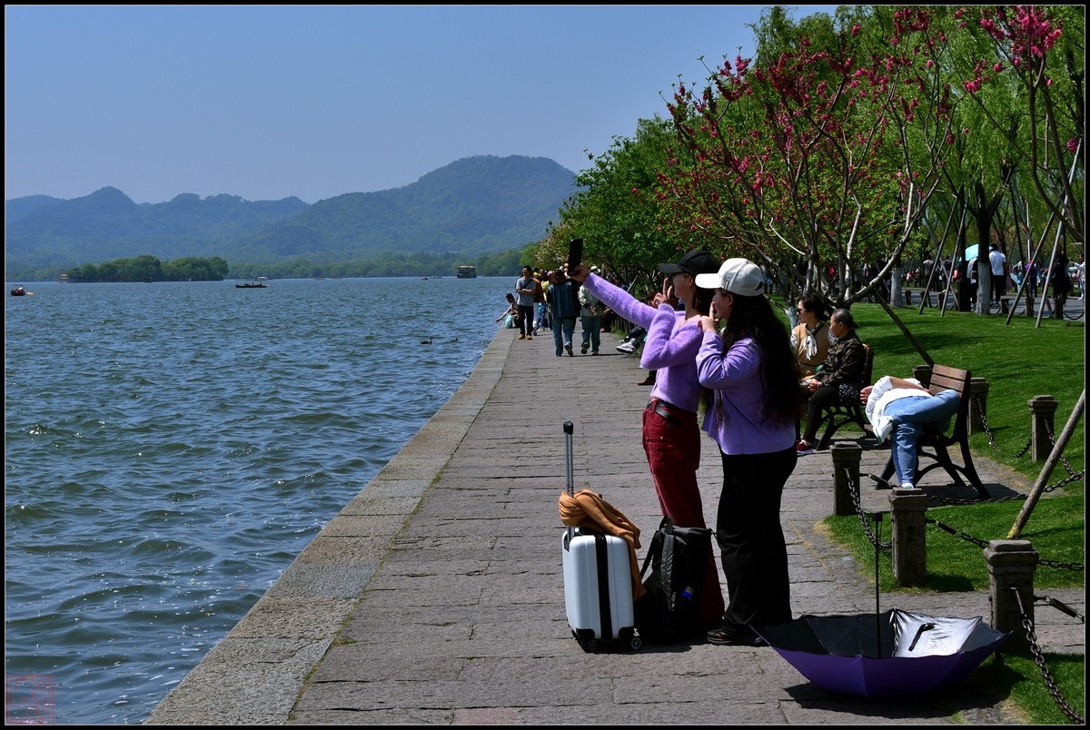 到此一游----杭州西湖随拍