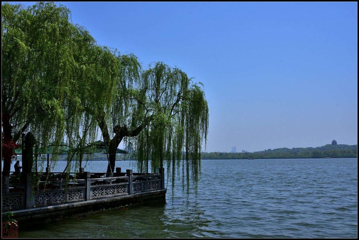 到此一游----杭州西湖随拍