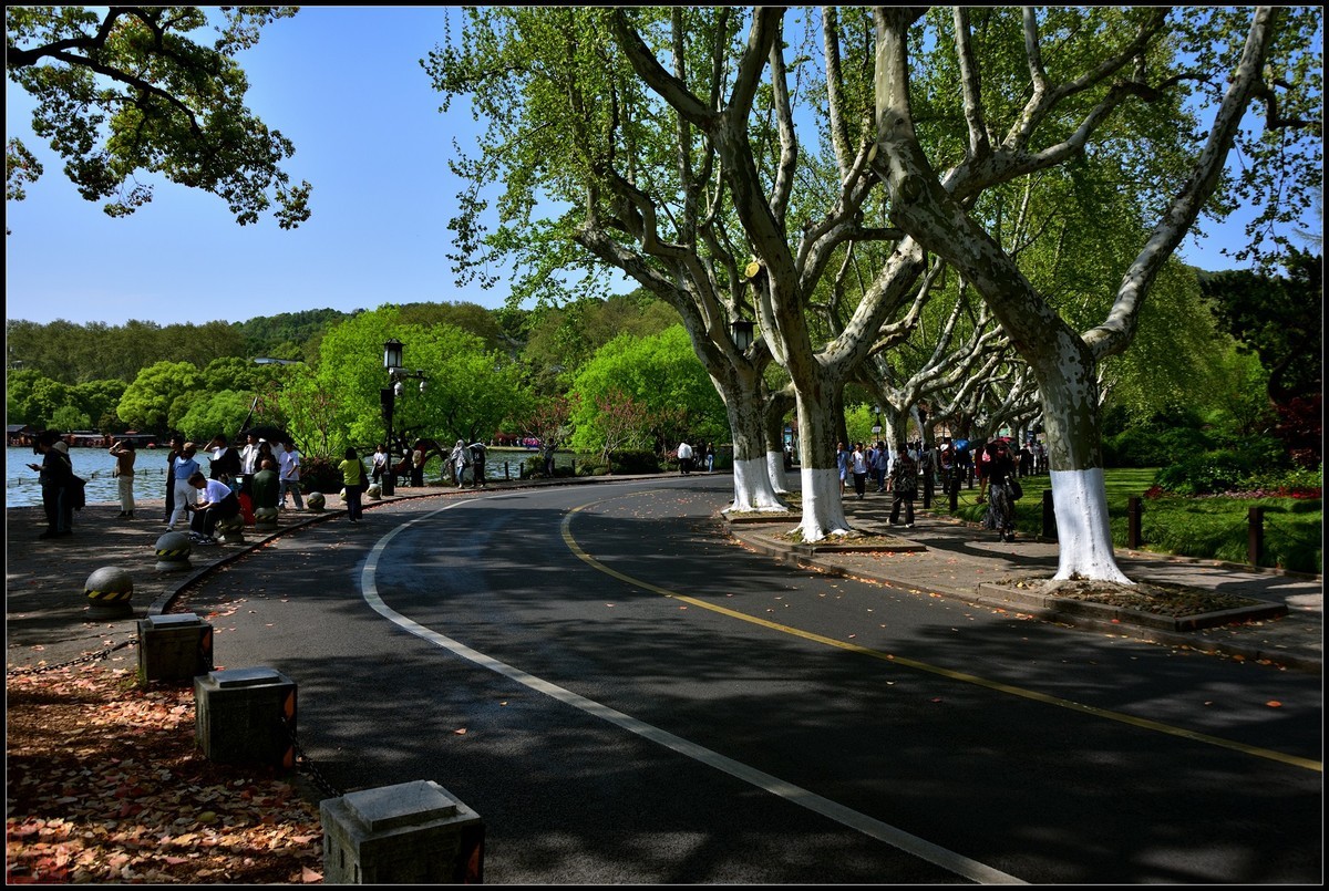 到此一游----杭州西湖随拍