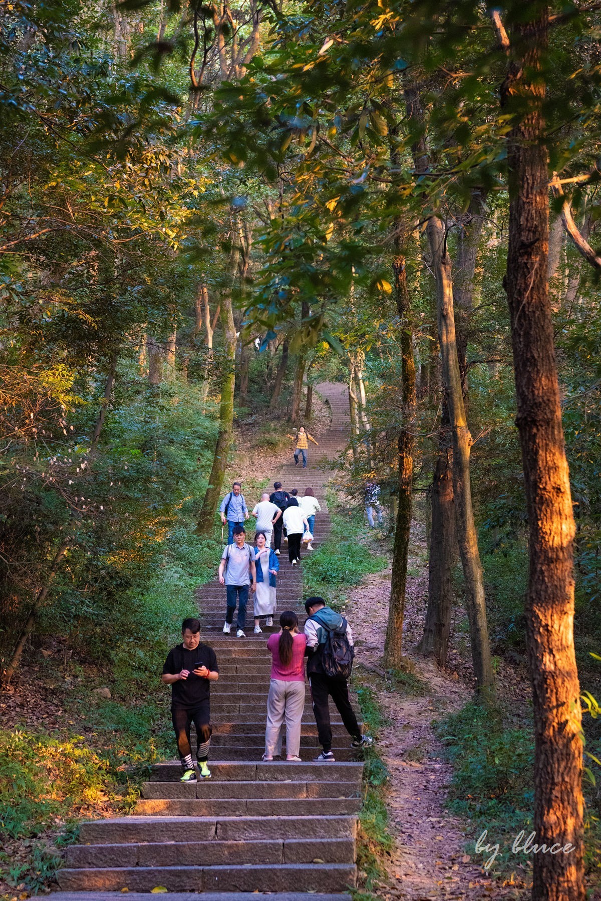 西湖————云栖竹径