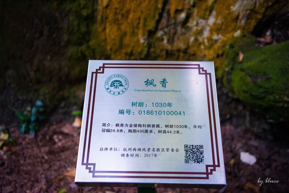 西湖————云栖竹径