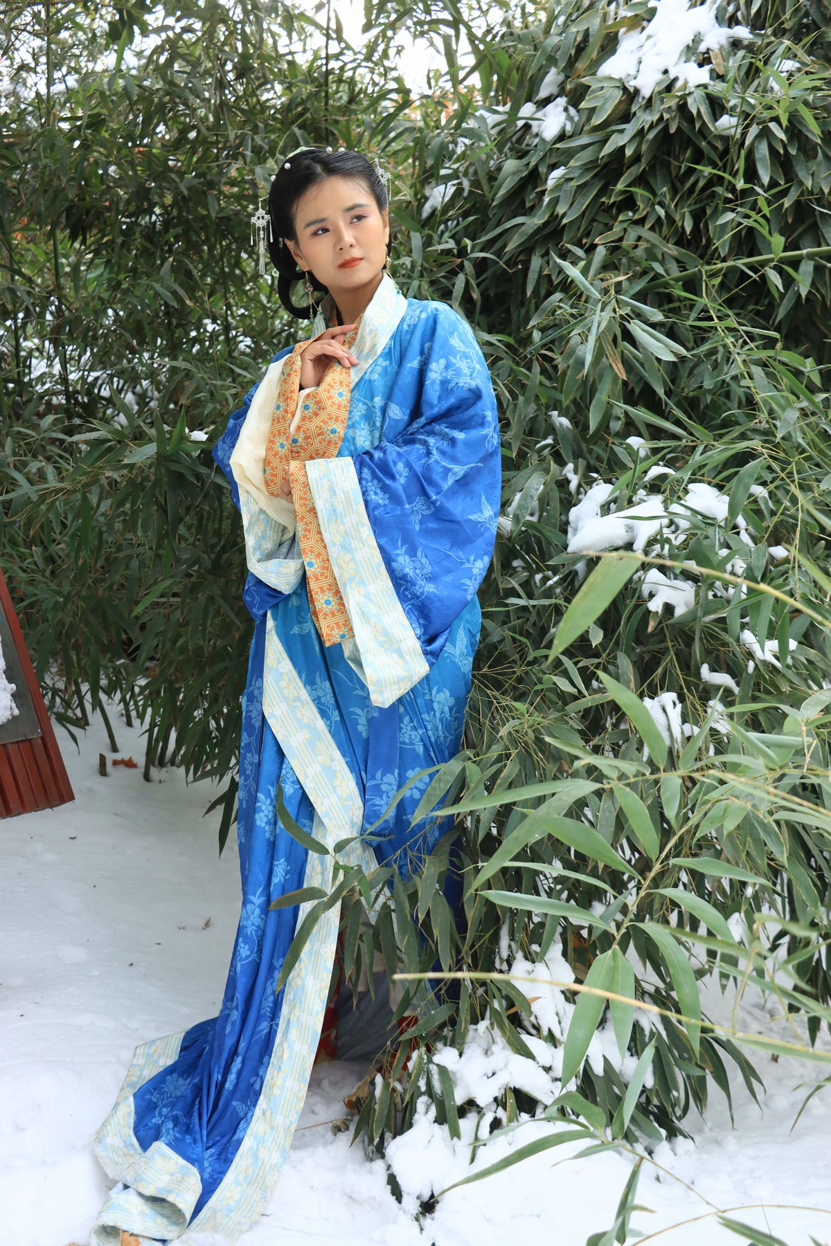 人像 - 54 (王菲 1)