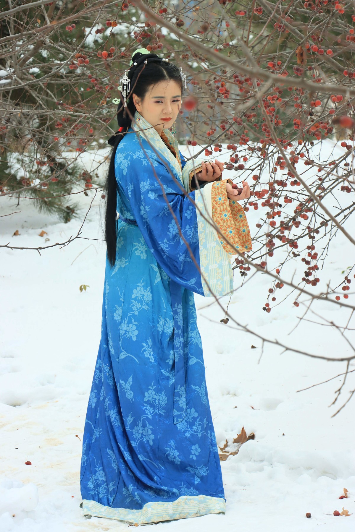 人像 - 54 (王菲 2）