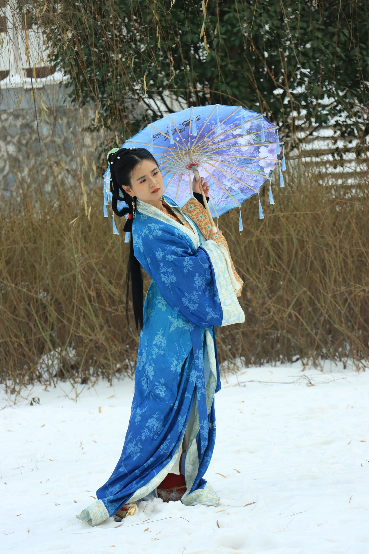 人像 - 54 (王菲 2）