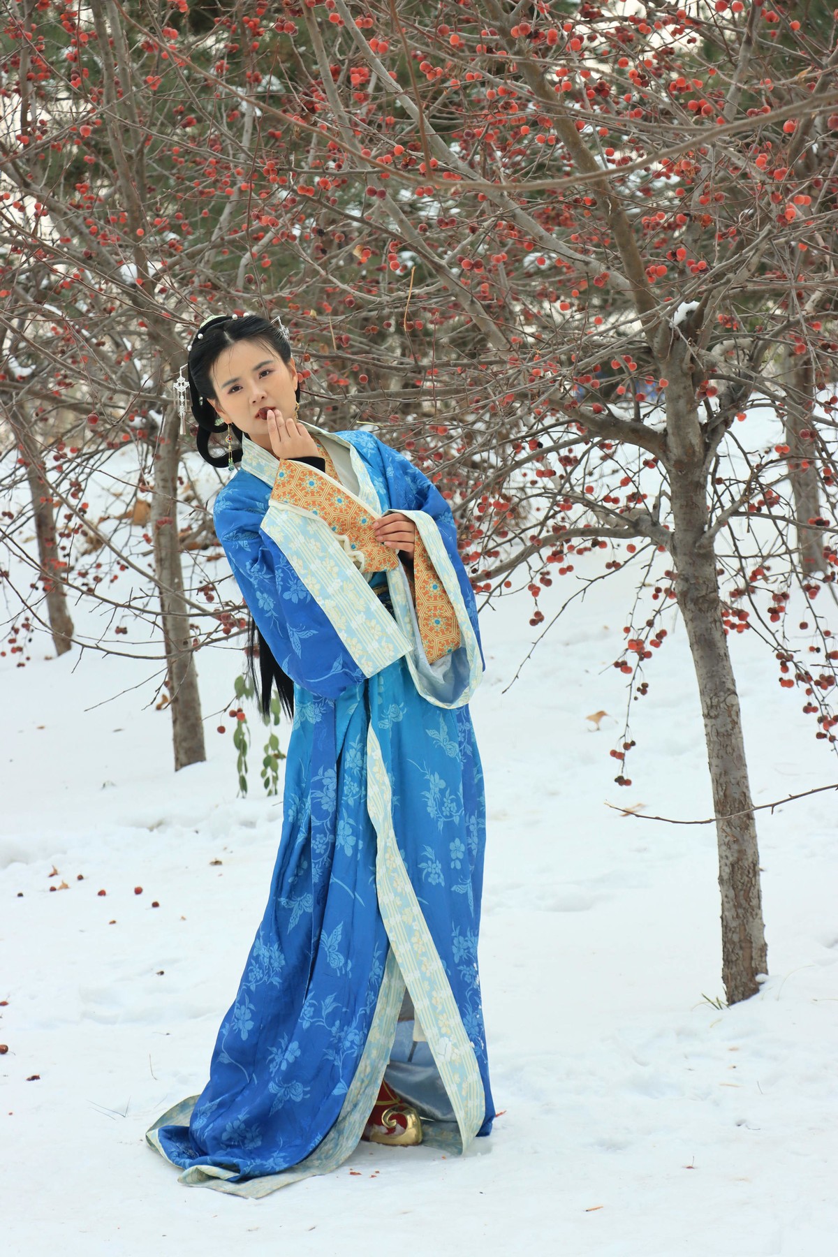 人像 - 54 (王菲 2）