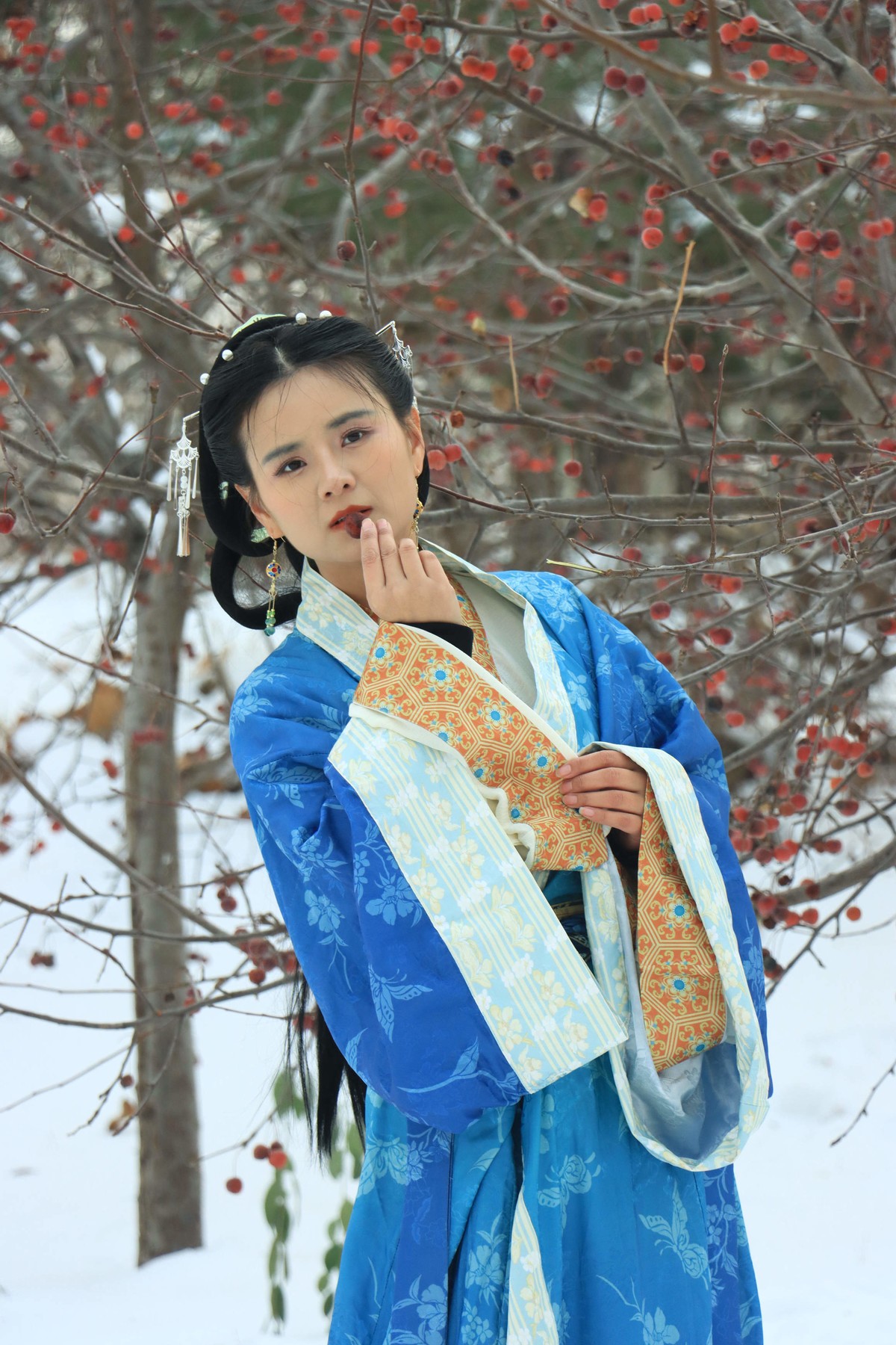 人像 - 54 (王菲 2）