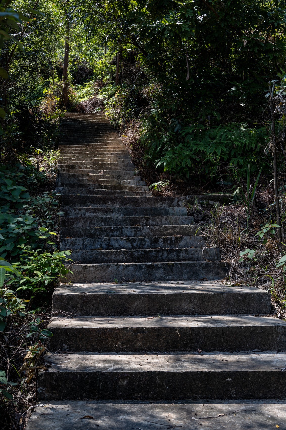 大岭古村（二十四）