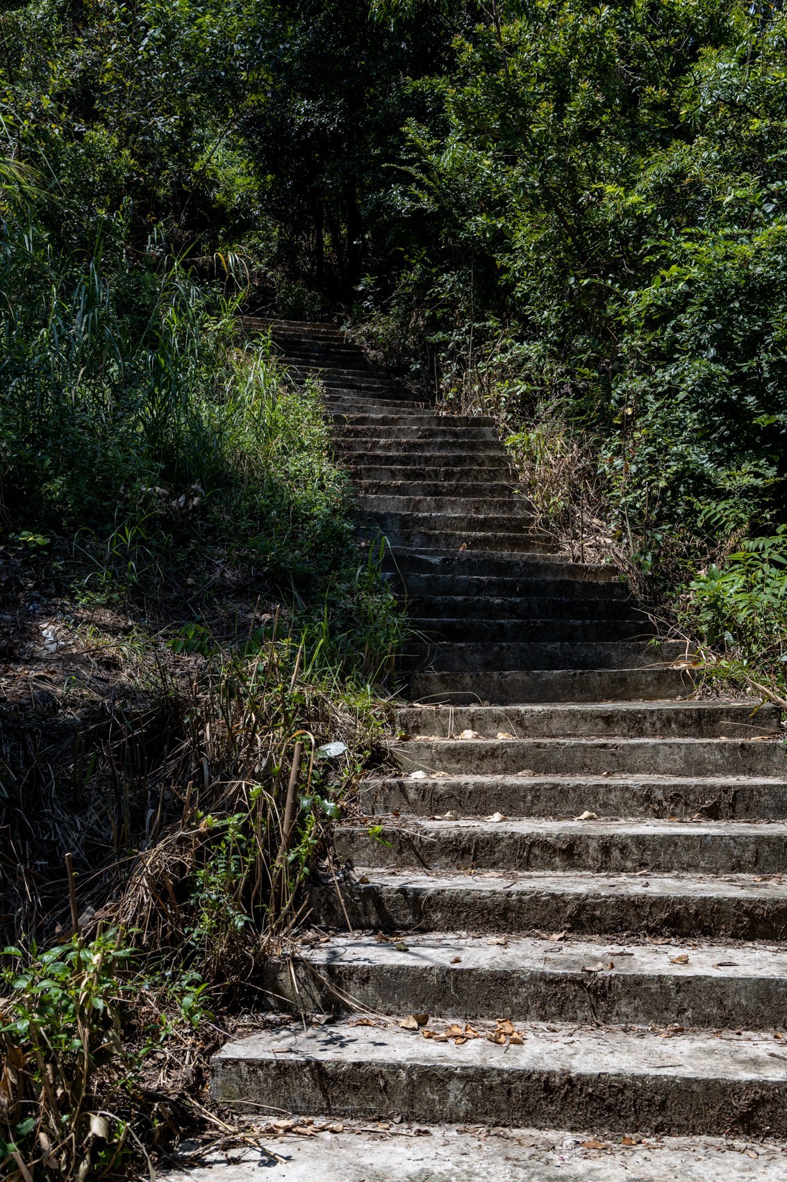 大岭古村（二十四）