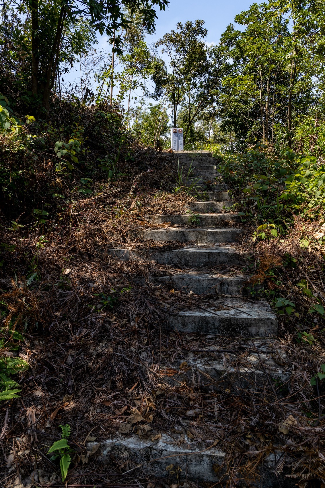 大岭古村（二十四）