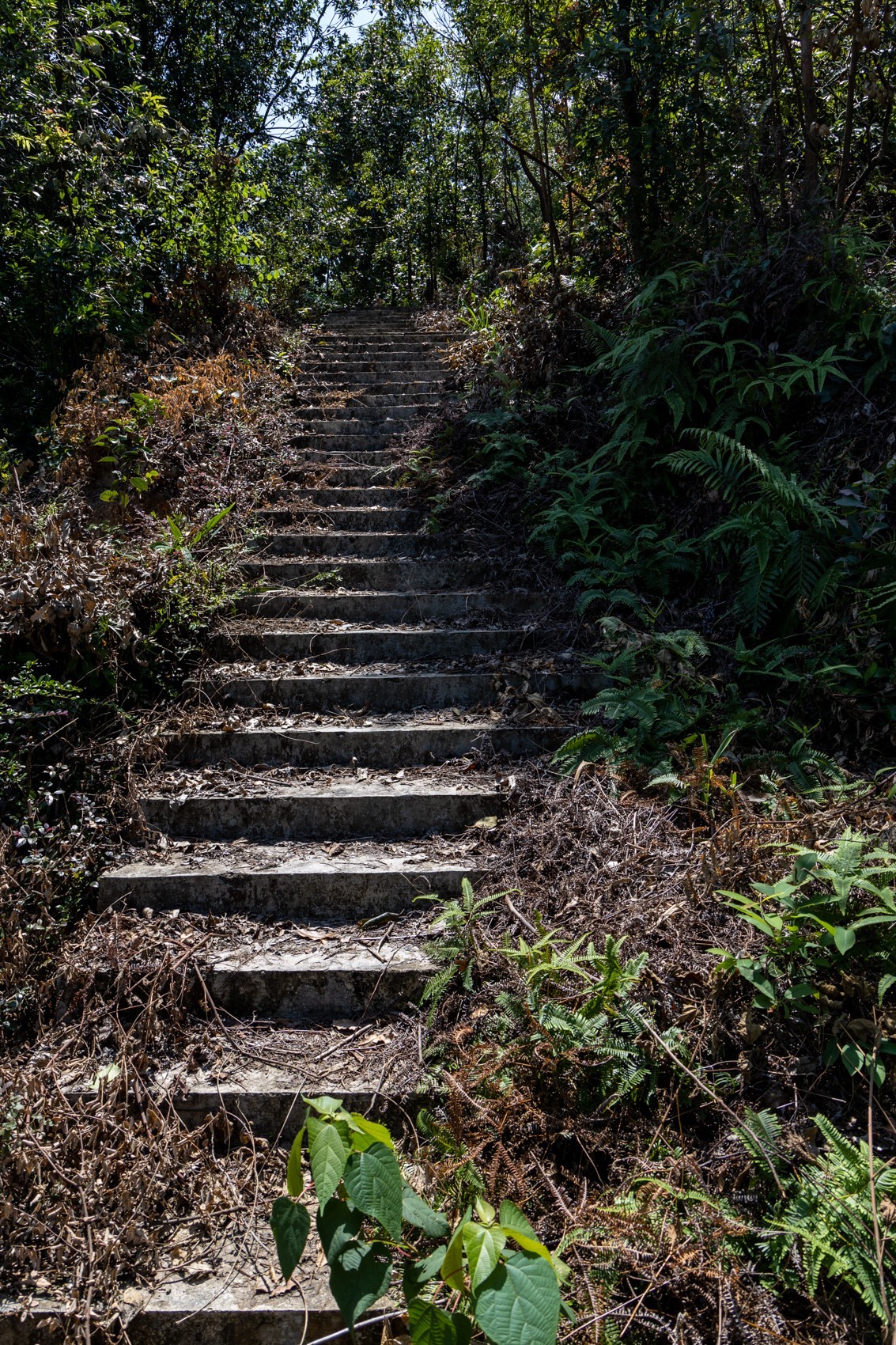 大岭古村（二十四）