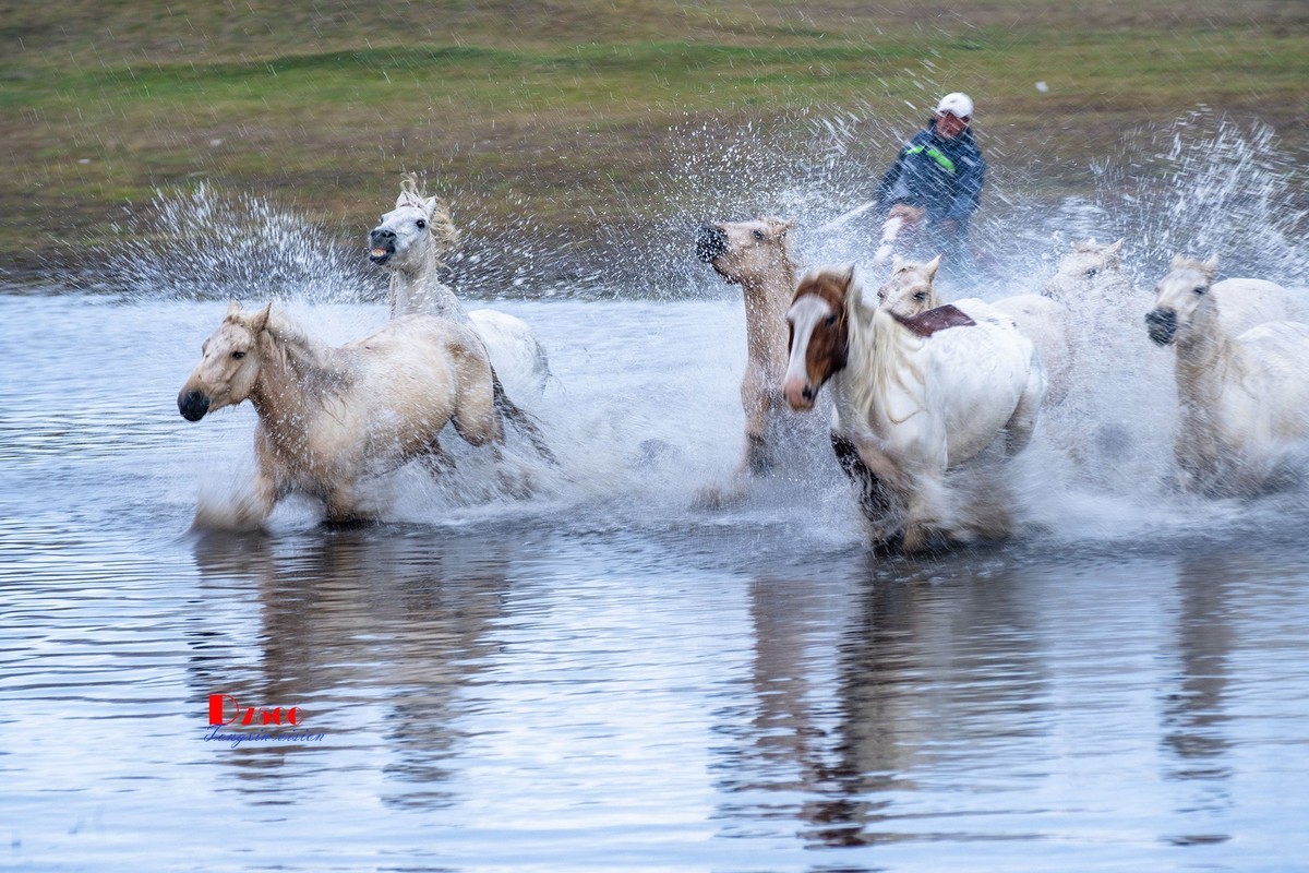 慢门 飞马踏水（1）