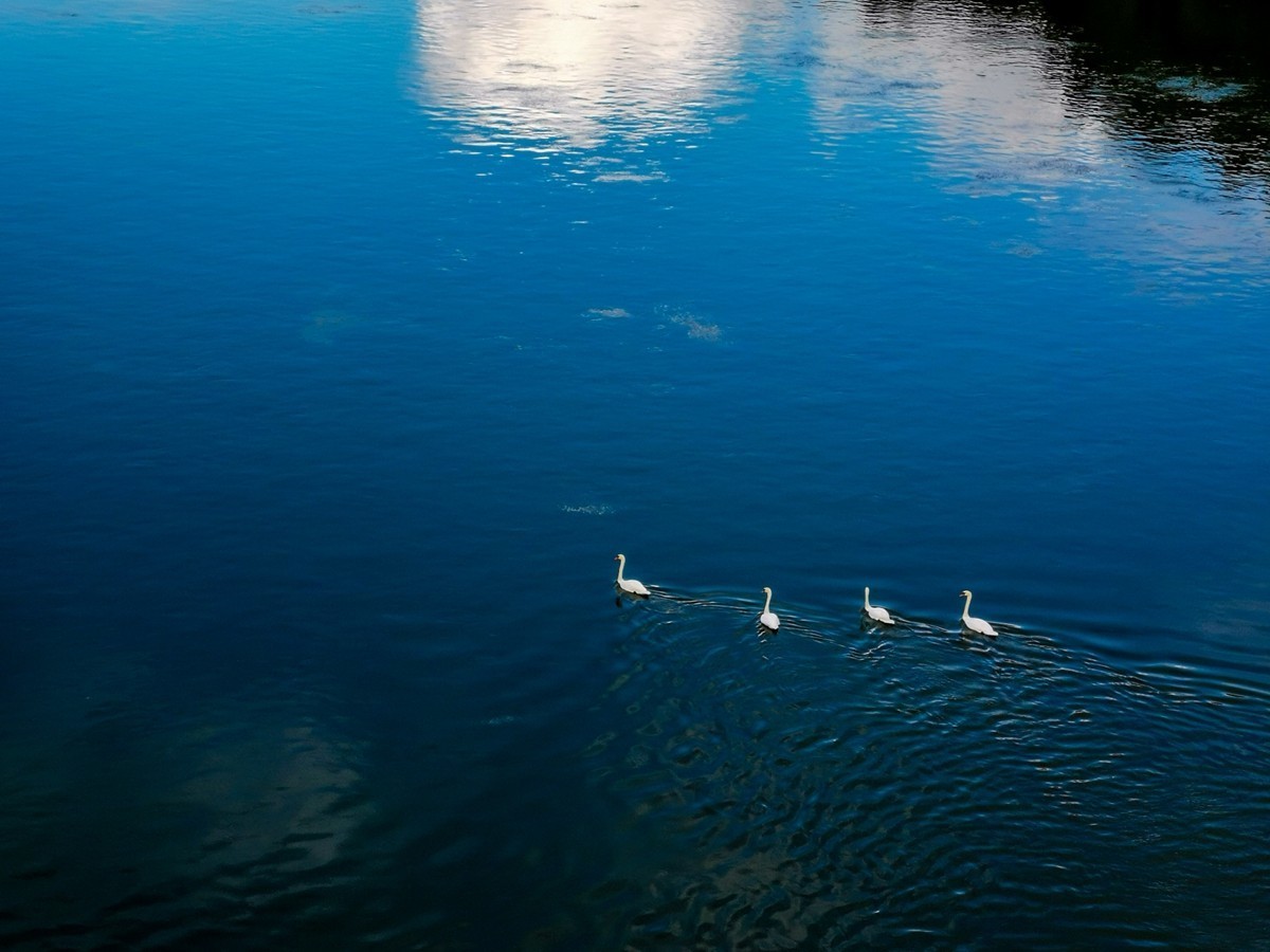 德法之间（界）--莱茵河摄